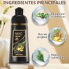 4 en 1 para Champú Colorante, Shampoo Tinte 500ml (Negro)
