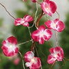 Hellum Interior and Exterior Decoration, Pink, 135 x 9 x