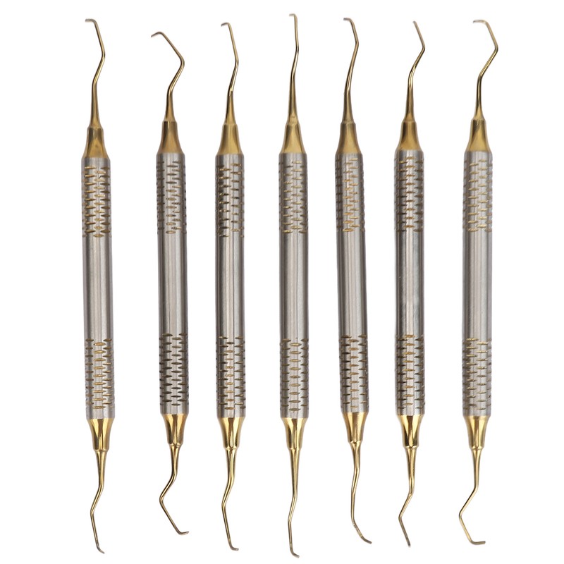 7 Pieces Teeth Plaque Remover Kit Multiple Shapes Metal Cleaning