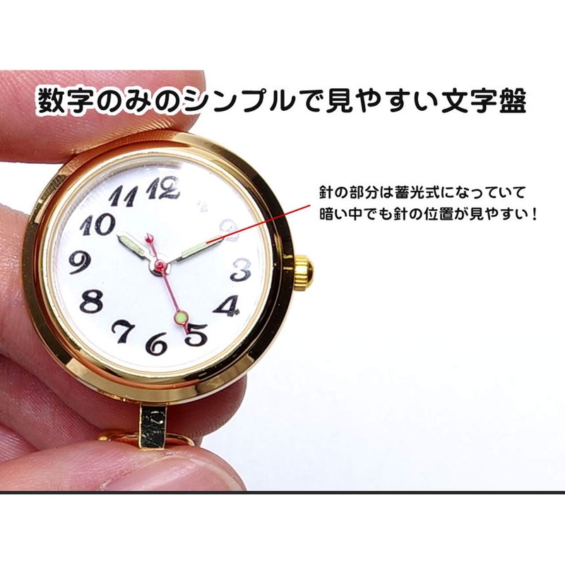 GoodsLand GD-NASUWT-02-GD Nurse Watch, Carabiner Type, Upside Down Dial, Clock,