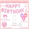 one silly goose balloons