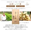 Tea Sandyoichi Japanese Dezai Ginger Hot Water, 0.5 oz (15