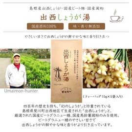 Tea Sandyoichi Japanese Dezai Ginger Hot Water, 0.5 oz (15 g) x 5 Packets x 4 Sets