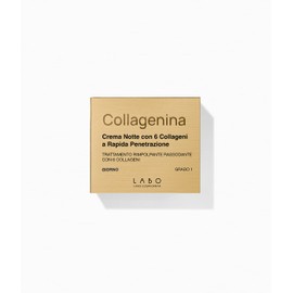 Collagenina Firming Day Cream with 6 Collagen (Day Cream Grade 1)