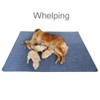 Peepeego Non-Slip Dog Pads Extra Large 72" x 72", Washable