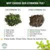 Premium Gymnema Sylvestre Tea – 120 Non-GMO Herbal Tea Bags