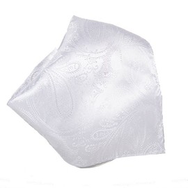 Vesuvio Napoli White Paisley Design Men's Hankerchief Pocket Square Hanky Men's Handkerchiefs
