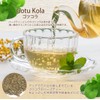 Gotu Cola Gotu Kola Tea Gotu Kola Tea Gotu Kola