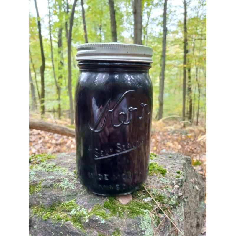 Ghost Pipe Tincture 4oz Harvested In Pennsylvania FREE Shipping
