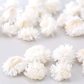 Earth Farms Dry Flower White Approximately/2 ~ 4 cm herikurisamu・heddo do032130 – 011, G, 50-Pack