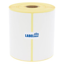 Labelident Thermo-Eco Paper on Roll - 100 x 100 mm - 500 BPA-Free Thermal Direct Labels on 1 Inch (25.4 mm) Roll for Desktop Printers, Removable