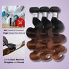 AUROO Chestnut Brown Ombre Body Wave 3 Bundles with 2x6