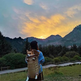 FLAdorepet Dog Carrier Tactical Backpack for Medium Large Dogs,Soft Hands-Free Legs Out Pet Front Cat Dog Carrier Backpack Travel Bag for Outdoor Traveling Hiking Camping (Large, khaki)