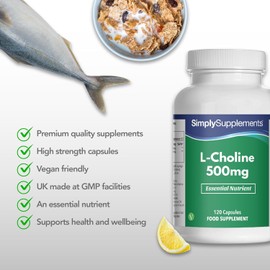 Super Strength L-Choline Supplement | 120 Fast-Release Vegan Capsules (2-Month Supply) | Supports Homocysteine & Lipid Metabolism | Promotes Healthy Liver Function | Made in the UK