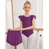 Zaclotre Ballet Leotards for Girls Toddler Ruffle Sleeve Crisscross Back