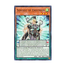 Yu-Gi-Oh!! - Servant of ENDYMION - SR08-EN004 - Common - 1st Edition - Order of The SpellCasters