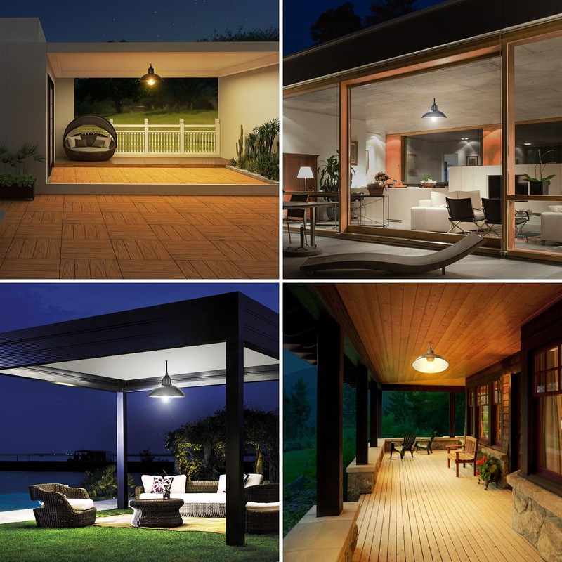 Lightonight Solar Shed Light Outdoor Pendant Light with 4000mAh Solar