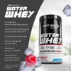 Best Body Nutrition - Professional Water Whey Fruity Isolate -