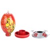 Hummingbirds Water Feeder Colorful Painting Glass Bird Feeding Tool for
