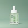 Cica Rebuilding Serum / 시카 리빌딩 세럼