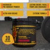 OVERDOS3D Pre-Workout Powder | Ultra-High Dosage | for Advanced Users