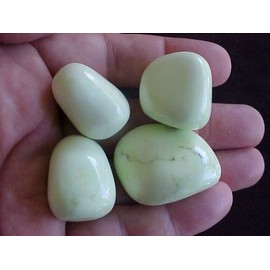 B0906 Gemqz Limestone Four Tumbled Polished Nice !!!