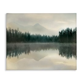 Stupell Industries Foggy Lake Forest Landscape Soft Nature Water Reflection Canvas Wall Art Design by Danita Delimont