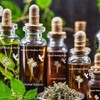 Hyssop+Respiratory Heath+Anti-parasitic+Digestive Health Organic Remedy - Size: 1 Fl oz