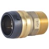 SharkBite 1-1/4 Inch MNPT Adapter, Push to Connect Brass Plumbing
