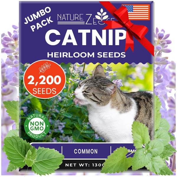 NatureZ Edge NatureZ Edge Catnip Seeds for Planting, 2200+ Herb
