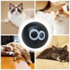 Cat Toy Ball | Interactive Cat Ball | Fun Kitten