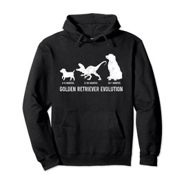 Golden Retriever Mom Dad Puppy Funny Dog Owner Dog Lover Pullover Hoodie