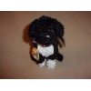 TY BO 2.0 PORTUGUESE WATER DOG BEANIE BABY- MWMT- PLAY