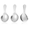3 PCS Short Handle Spoons, Silver Mini Scoops, 304 Stainless