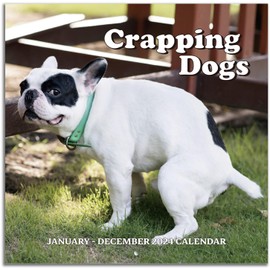 Gag Gifts - 2024 Wall Calendar, White Elephants Gifts, Dogs Pooping Calendar 2024, Dogs Pooping in Beautiful Places Calendar 2024, Stupid Gifts, Jan 2024 - Dec 2024, Funny Gifts for Friends, Family