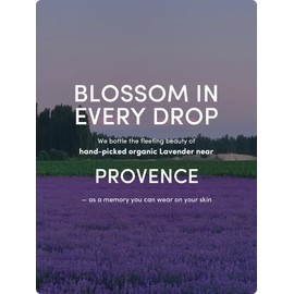 Kustie Sooth Lavender Body Wash - Perfume Shower Gel with Squalane & Hyaluronic to Acne, Antioxidant, Moisturizing, Hydrate Skin丨Nature Lavender & Tea Tree Oil Add丨Paraben, Phthalate Free丨16.9 fl oz