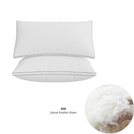 Overseas Stock Different Size Sleeping Pillow 40% White Goose Feather Down Pillow Soft Fluffy Luxury Bed Pillow Set for Bedcolor: Blue, size: Standard-20*26