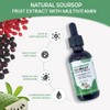 Soursop multivitamin Drop Natural Energy Booster, Immune Support, Vegan,Gluten Free,Non-GMO