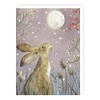 Tracks Traditional Moongazing Hare Advent Calendar - 24 Doors Christmas