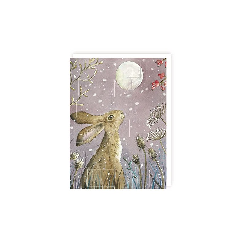 Tracks Traditional Moongazing Hare Advent Calendar - 24 Doors Christmas