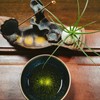 5 Pack Mini Sea Urchin Shell Hanging Pot-Air Plant Holder