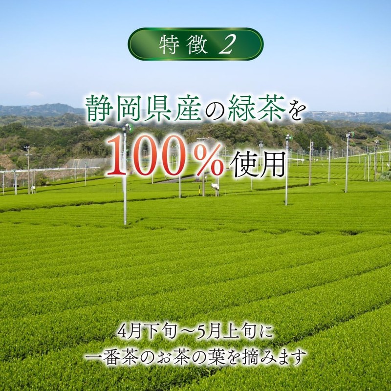 Japanese Caffeinated Green Tea Green Tea Caffeinated Green Tea Made