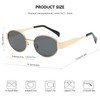 PROUDDEMON Retro Oval Sunglasses for Women Men Trendy Small Round