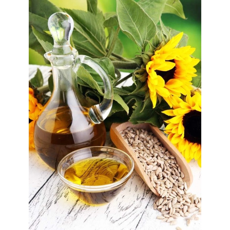 Sunflower Lecithin Liquid 16 oz Pack Non-GMO Soy Free Gluten