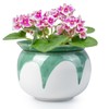 LITUDISO African Violet Pots, 6 Inch Self Watering Pots for