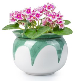 LITUDISO African Violet Pots, 6 Inch Self Watering Pots for Indoor Plants, Easy Plant Self Watering Planter, Ceramic Plant Pot with Absorbent Inner Pot for Flowers - Gradient Green (No Plants)