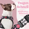 rabbitgoo Dog Harness for Small Dogs, Adjustable Dog Harness without