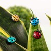 TXDAMAI Mini Ladybird Fridge Magnet 6 Pieces Creative Fridge Magnetic