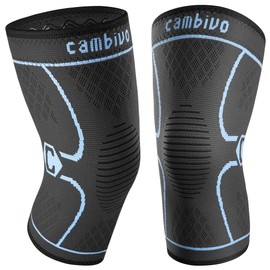 CAMBIVO CAMBIVO Knee Support Men/Women 2 Pack, Knee Brace Compression Knee Sleeves for Running, Gym, Weight Lifting, Hiking, Walking, Sports, Volleyball (Blue, L)
