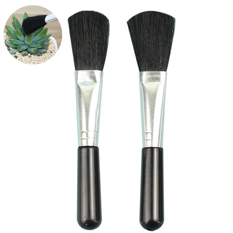 2 Pcs Diatomaceous Earth Duster Succulent Cleaning Brush, Plant Leaf